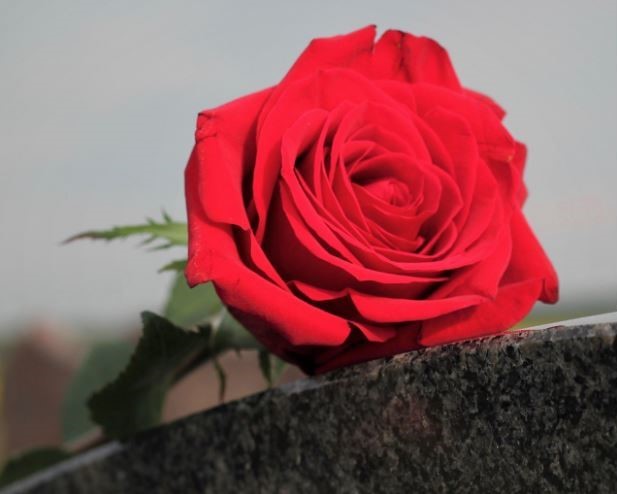 Florists & Monuments